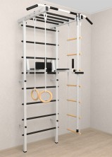 Шведская стенка Sv Pro рукоход 853