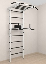 Шведская стенка Sv Pro рукоход 852